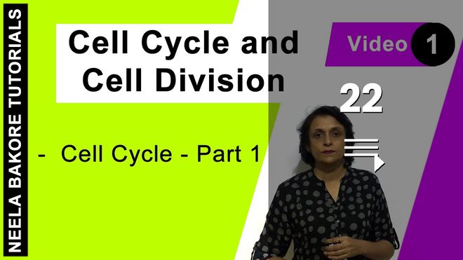 Cell Cycle & Cell Division