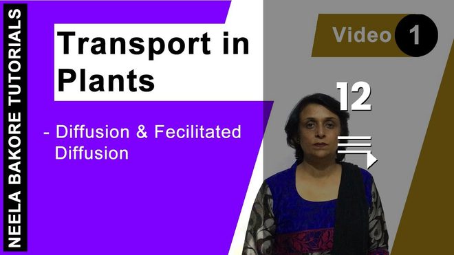 Transport in Plants