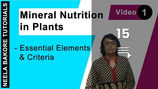 Mineral Nutrition in Plants