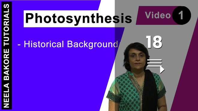 Photosynthesis