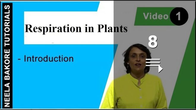 Respiration in Plants