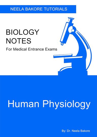 Human Physiology