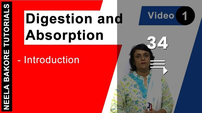 Digestion and Absorption