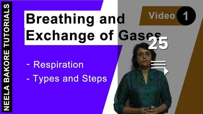 Breathing and Exchange of Gases
