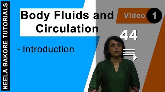 Body Fluids and Circulation