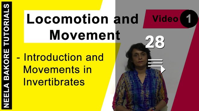 Locomotion and Movement