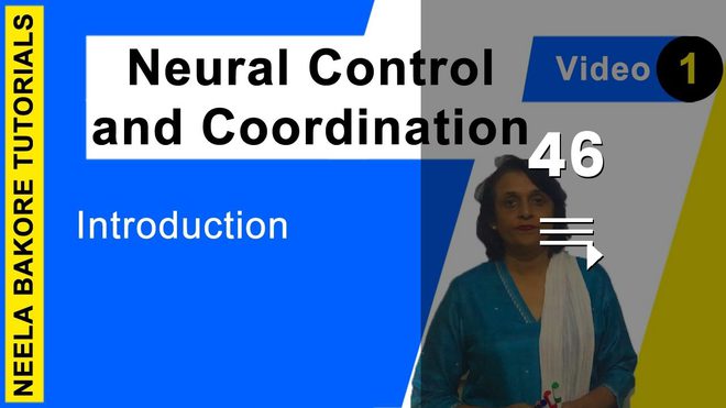 Neural Control and Coordination