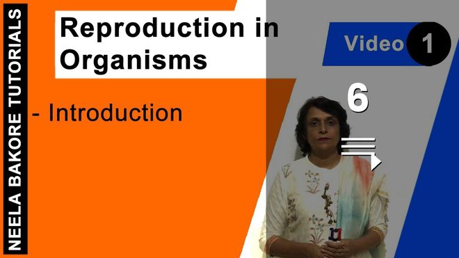 Reproduction in Organisms