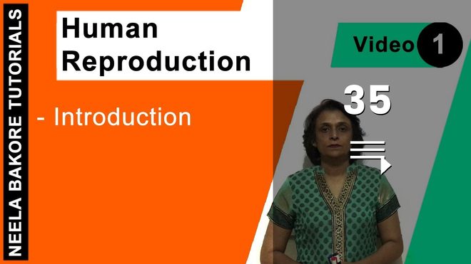 Human Reproduction