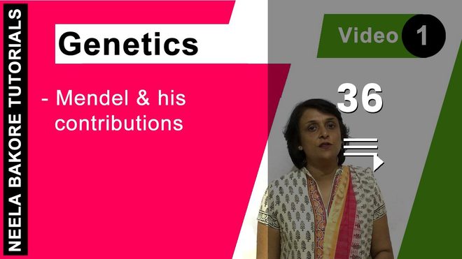 Genetics - Principles of Inheritance and Variation