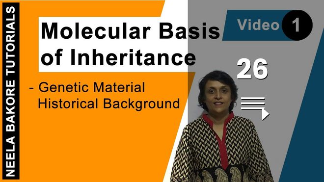 Molecular Basis of Inheritance
