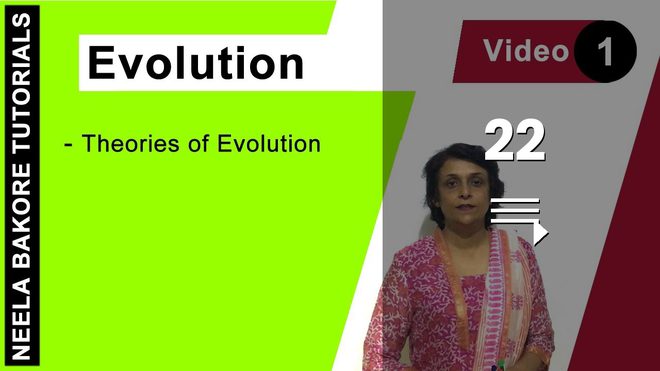 Evolution